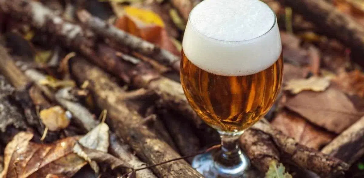 9 estilos de cerveza para el otoño-Install Beer