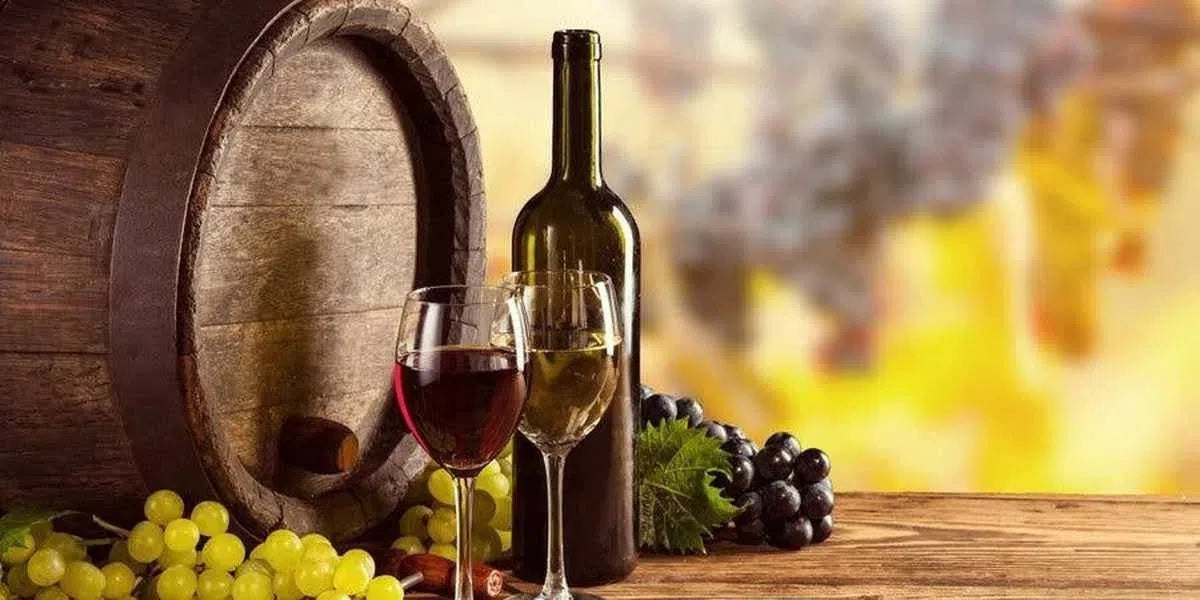 ¿Cómo es el sector vitivinícola en España?-Install Beer