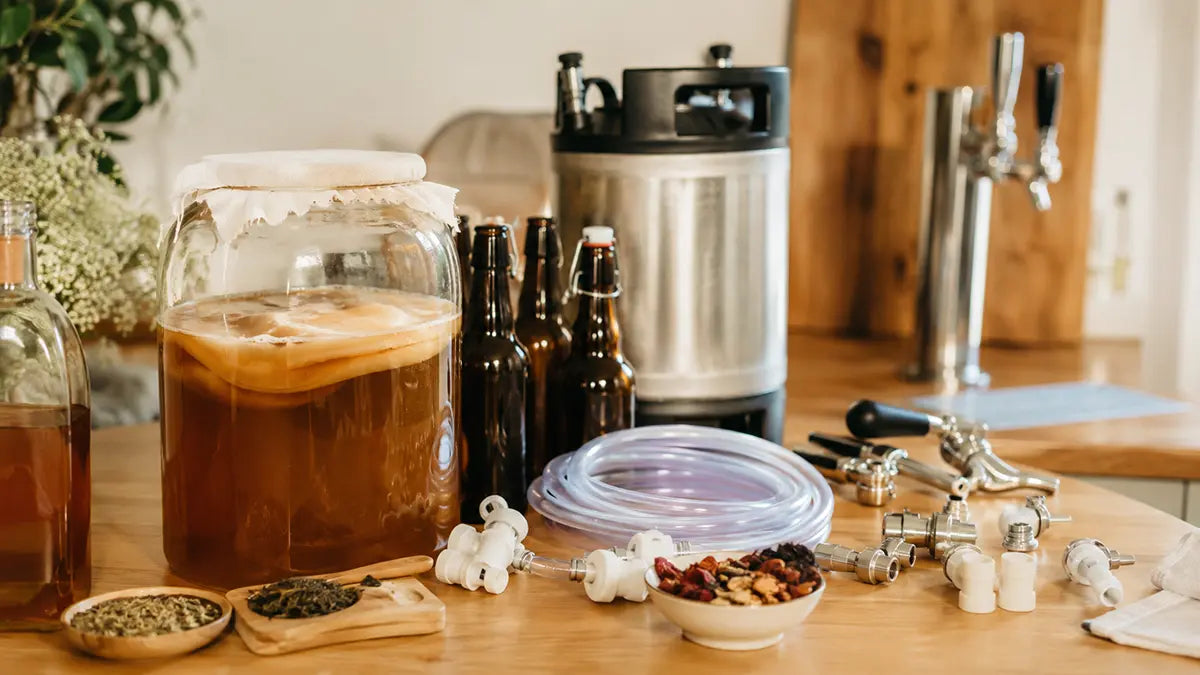 Cómo hacer kombucha en casa y preparar un sistema de kombucha por grifo con barril, frío, presión y limpieza - Install Beer