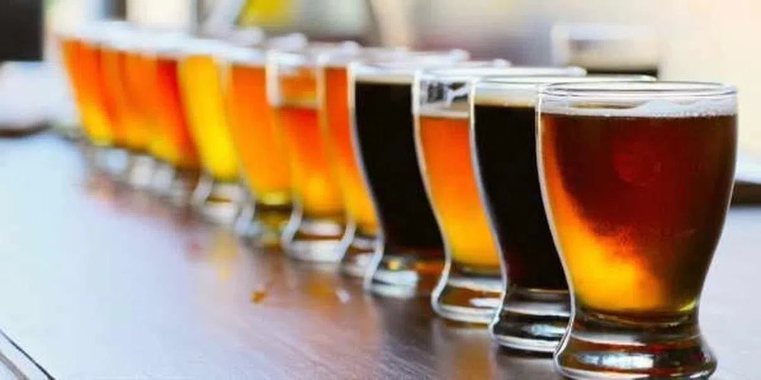 ¿Cómo reconocer las variedades de lúpulo en la cerveza?-Install Beer