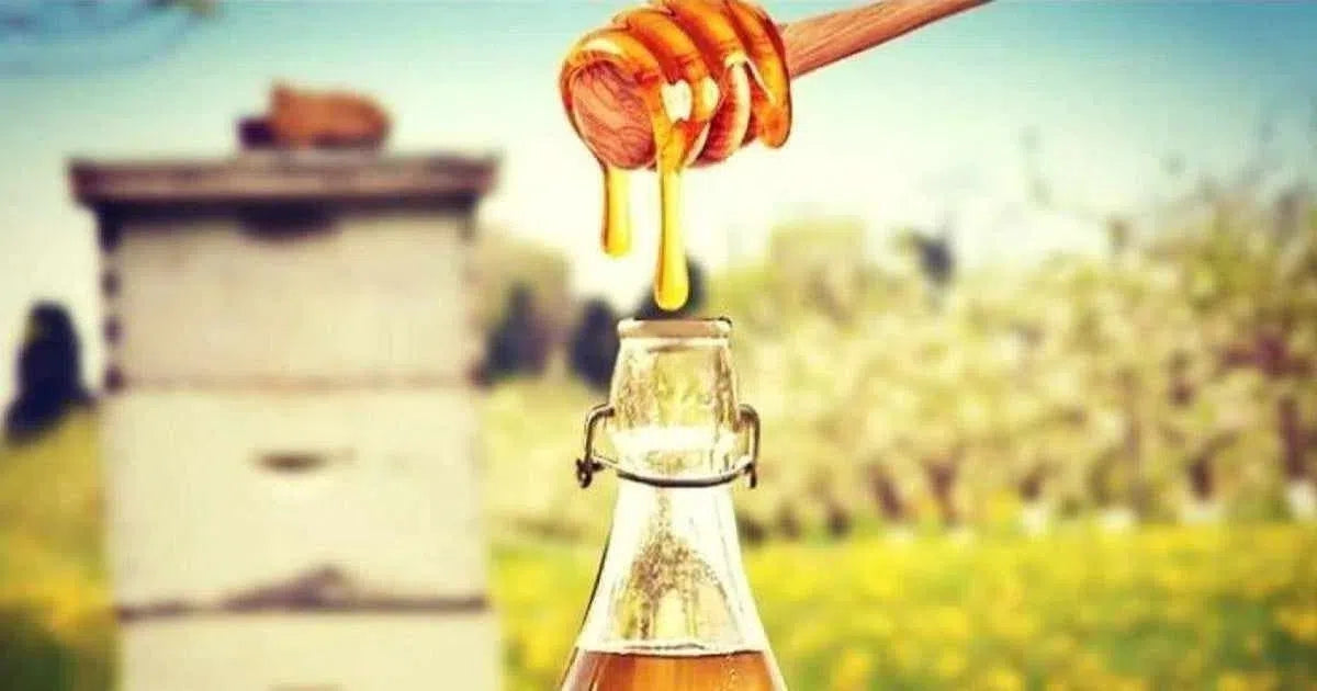 ¿Cómo se evalúa el hidromiel según BJCP?-Install Beer