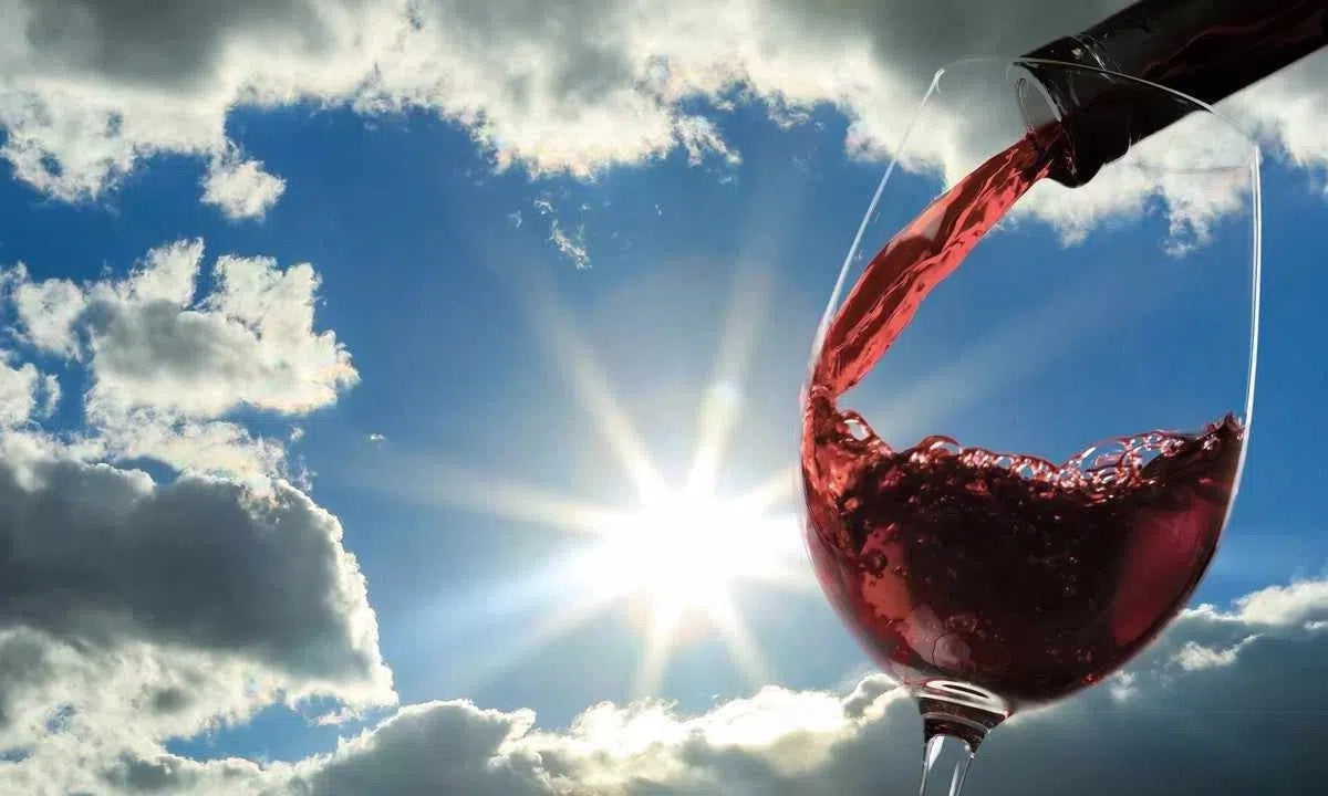 Conoces las denominaciones origen del vino en Galicia-Install Beer