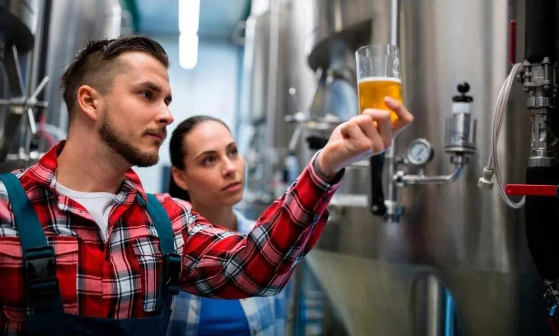 El sector cervecero se recupera, pero todavía no alcanza niveles prepandemia-Install Beer