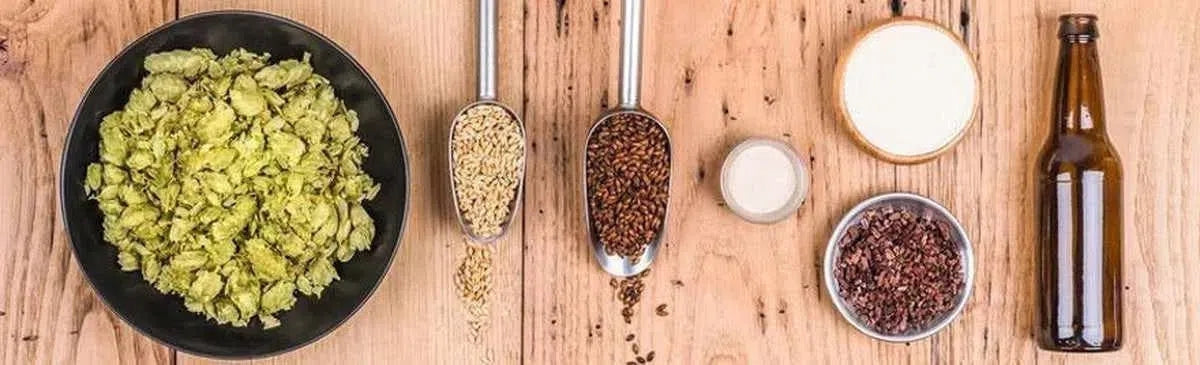 Los 4 ingredientes de la cerveza que deberías conocer-Install Beer