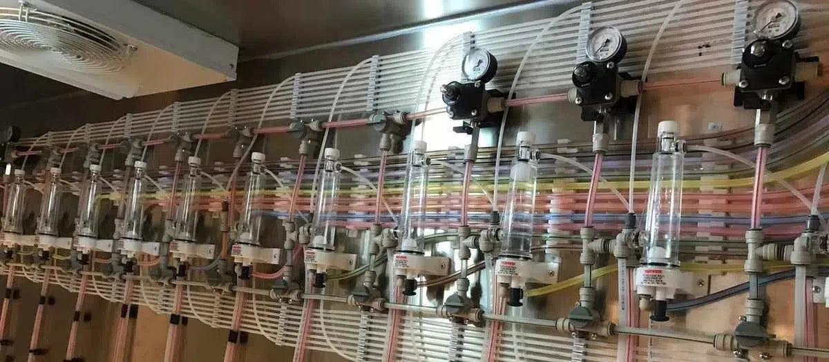 Purgado del barril de cerveza en la línea de dispensado durante el servicio-Install Beer