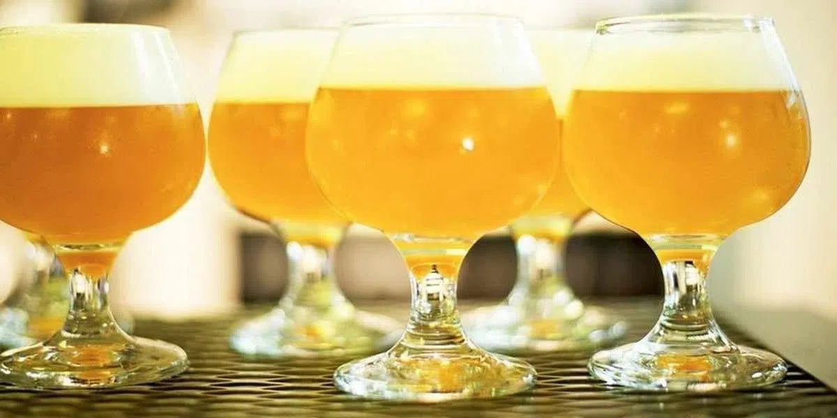 What is a Micro IPA and a Nano IPA?