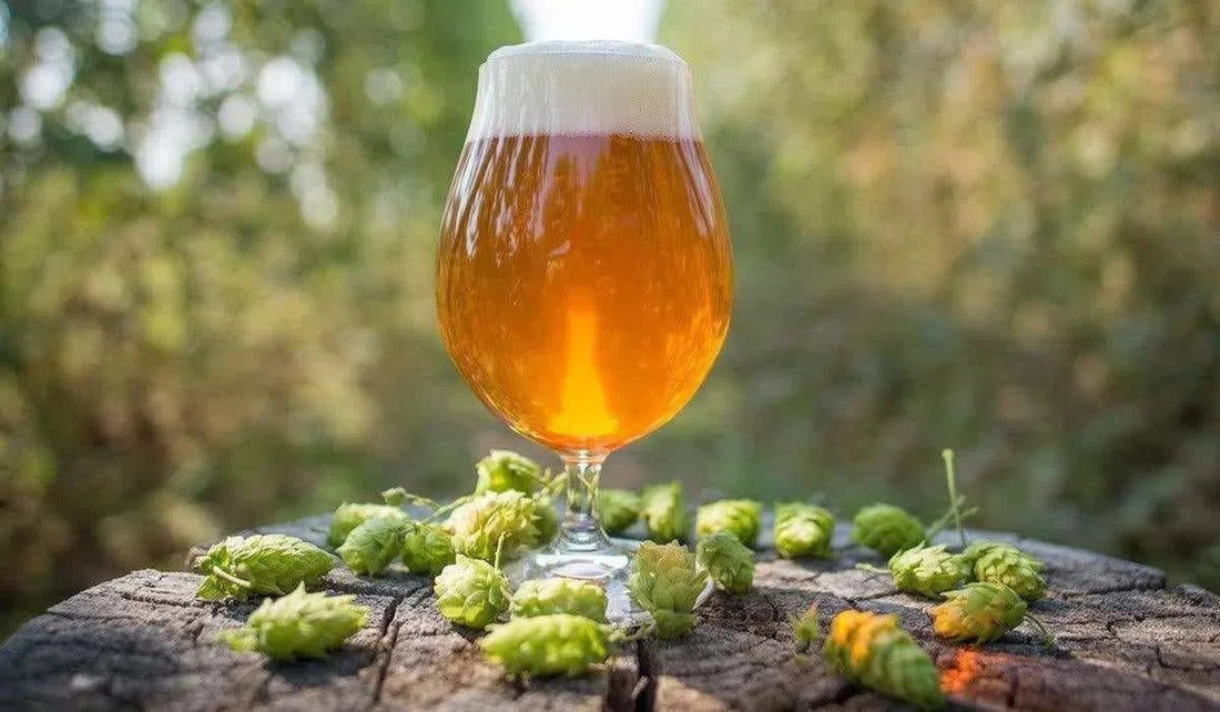 ¿Qué estilo de cerveza es una IPA?-Install Beer