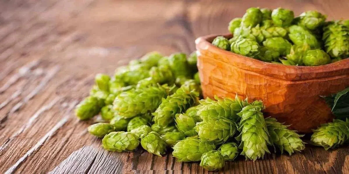 ¿Qué son los IBUs en la cerveza?-Install Beer