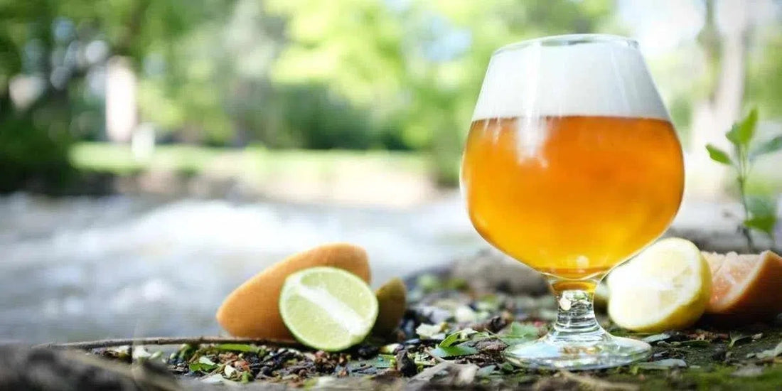 Receta de cerveza: Los estilos de cerveza más refrescantes para el verano-Install Beer