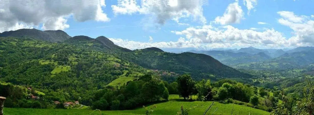 Turismo cervecero por Asturias-Install Beer
