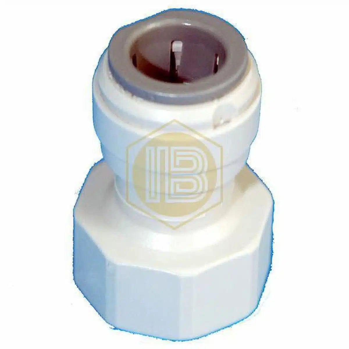 Adaptador Hembra - Rosca BSP-Install Beer