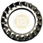 Arillo dentado para fijación de grifo-Install Beer