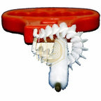 Cepillo limpia cabezales L002-Install Beer