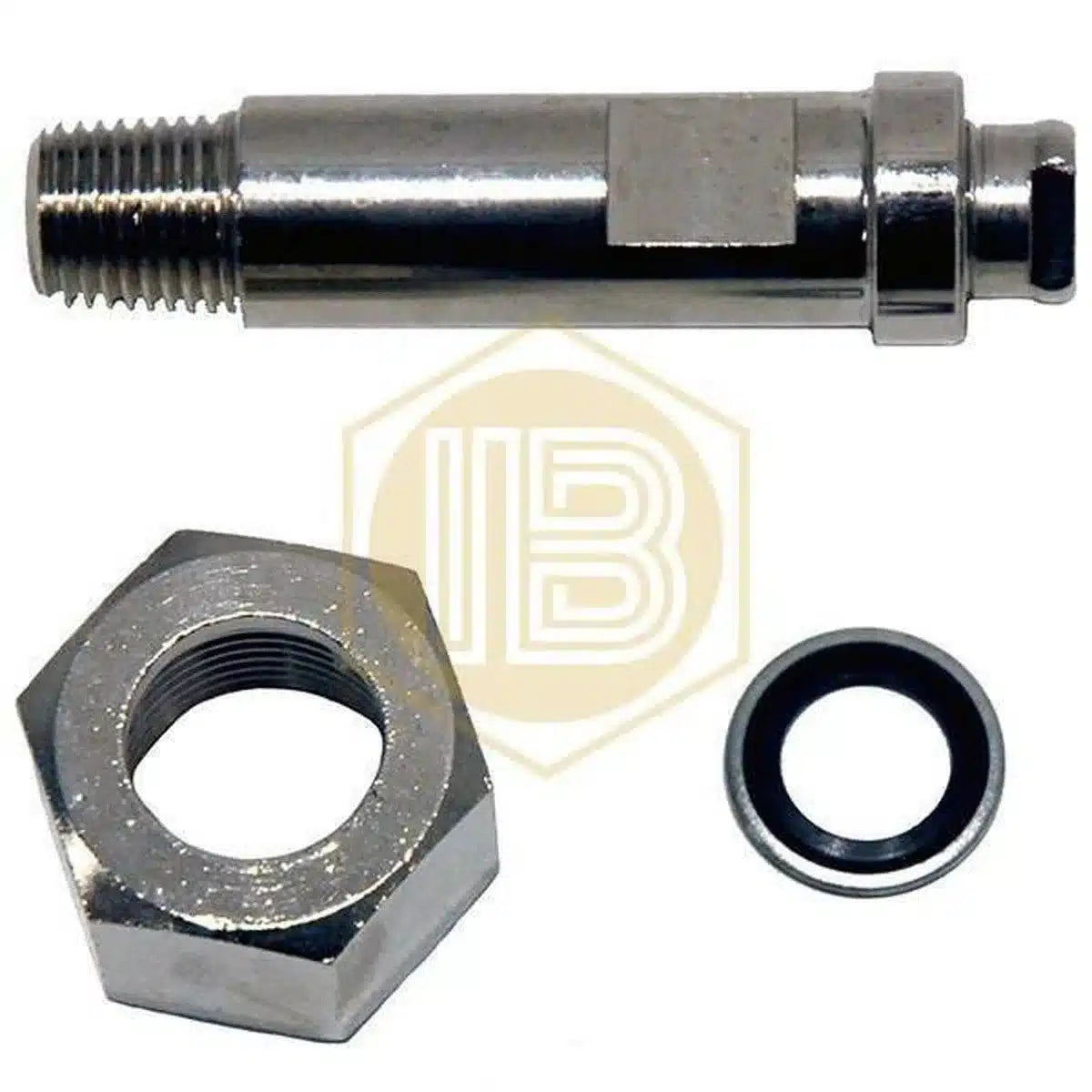 Conjunto espiga conexión botella y junta para manorreductor-Install Beer