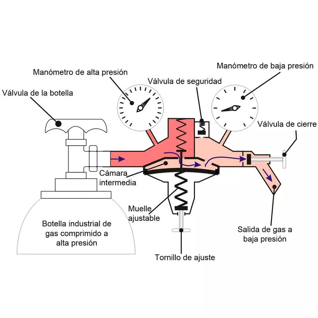 Conjunto espiga conexión botella y junta para manorreductor-Install Beer