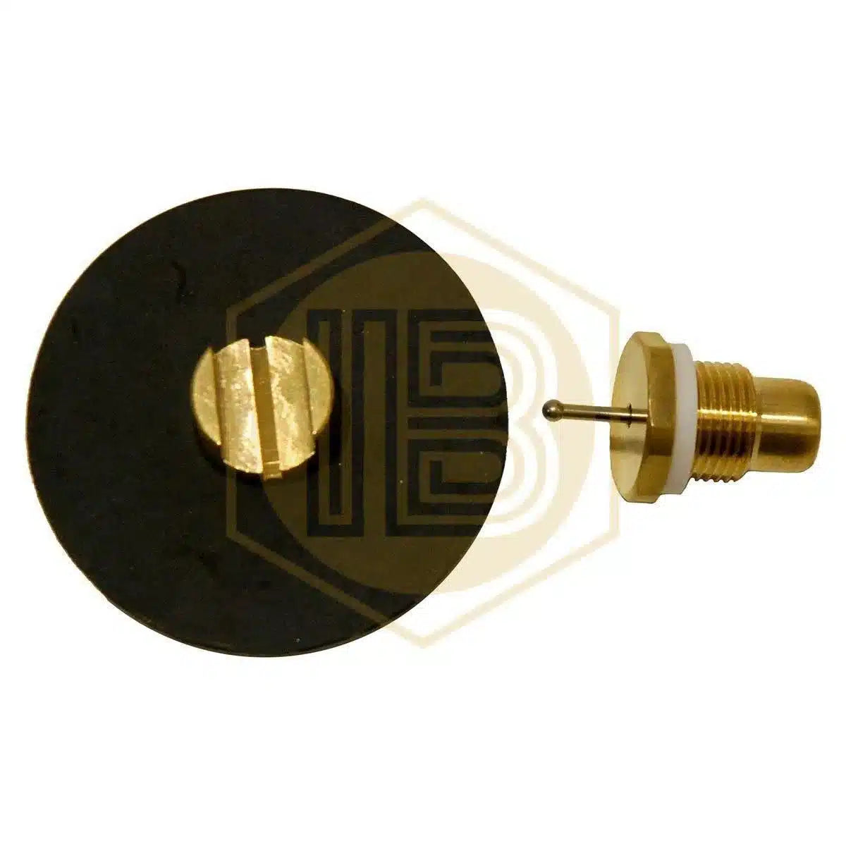 Membrana y válvula de manorreductor-Install Beer