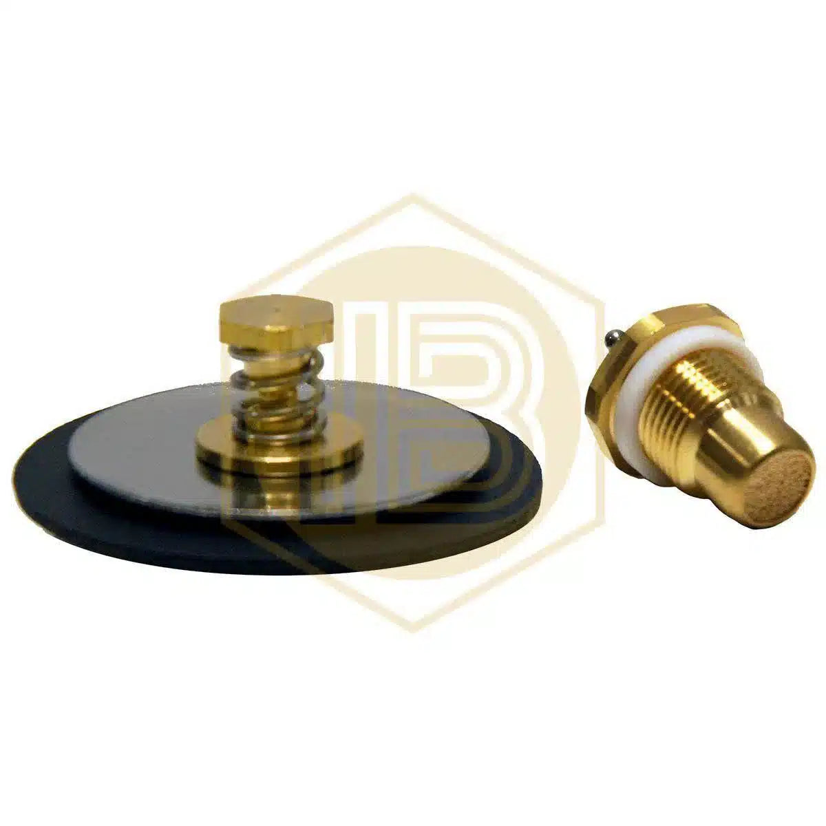 Membrana y válvula de manorreductor-Install Beer