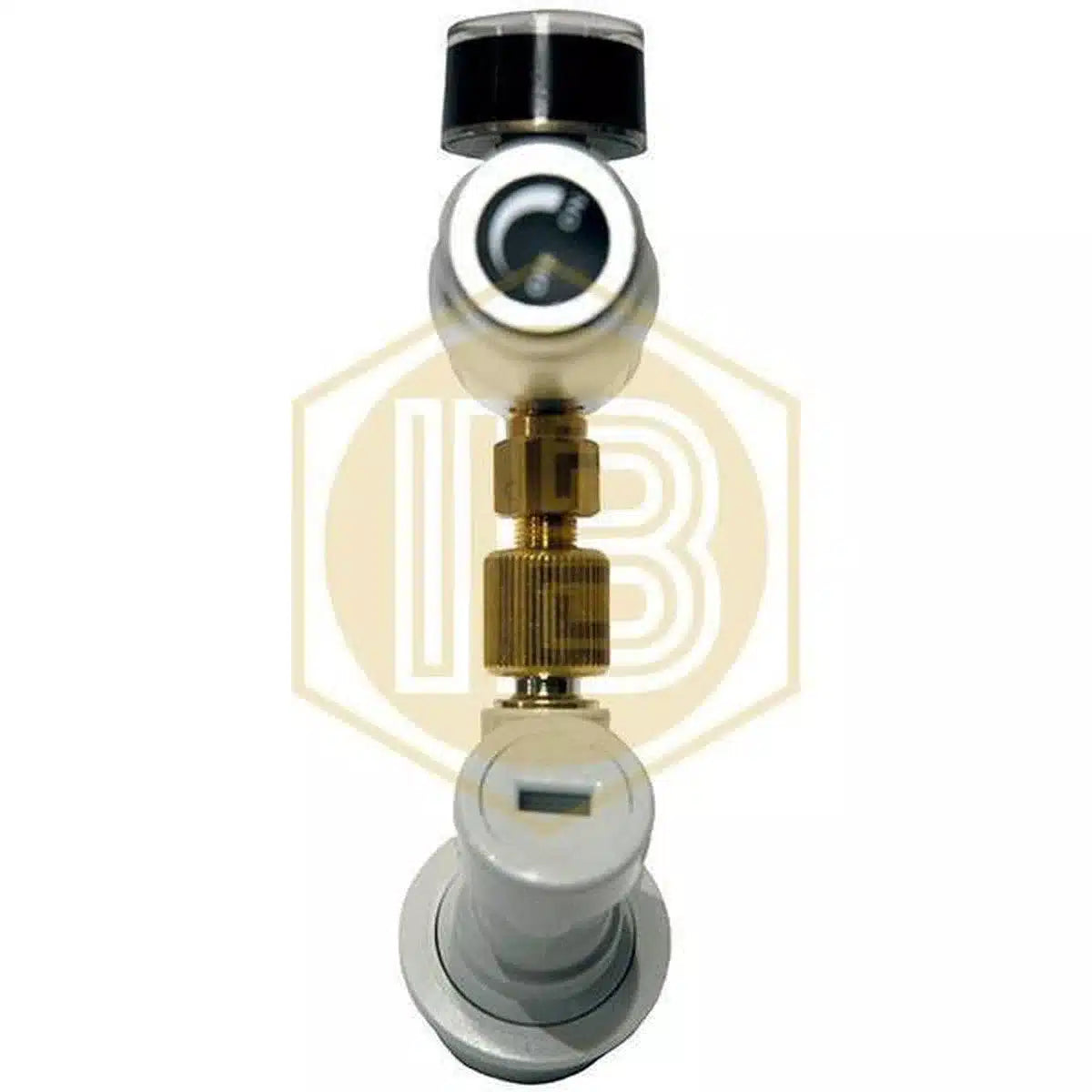 Pack cargador regulador de CO2 Corny Keg-Install Beer