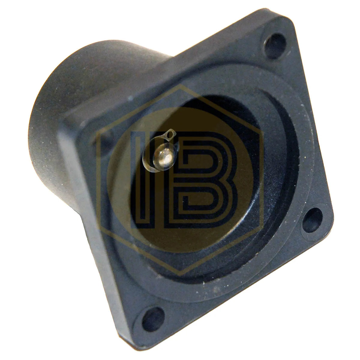 Pressure regulator compression capsule IB0643, interior view - Install Beer